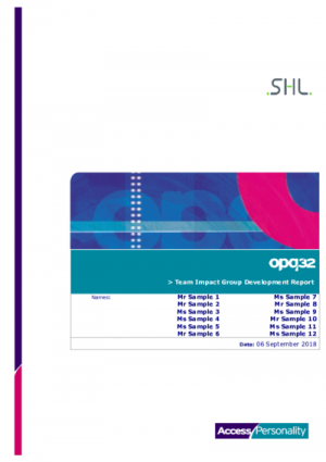 OPQ Team Impact Group Development Report English International