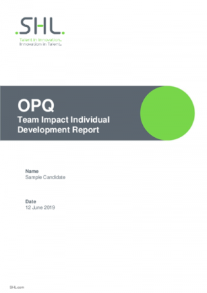 OPQ Team Impact Individual Development Report English International