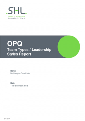 OPQ Team Types and Leadership Styles Report Std v2 English International