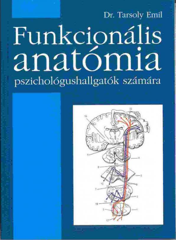 Funkcionális anatómia pszichológusok számára
